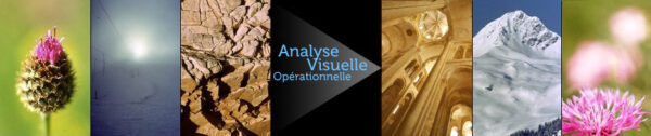 Analyse Visuelle Opérationnelle